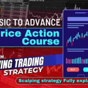 Traders Room Price Action Basic to Advanced Course Download